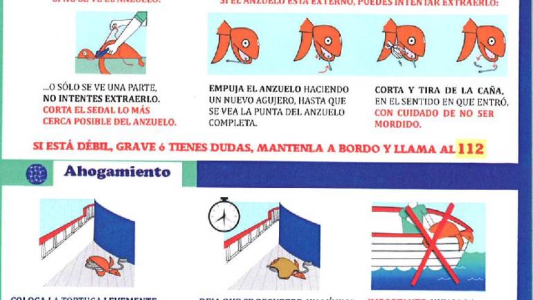 Marinas del Mediterráneo, adscrita al proyecto «Tortuga a bordo» desde 2016