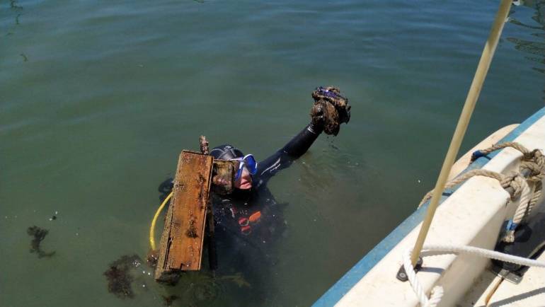 Cleaning of seabeds in the Marina of Estepona