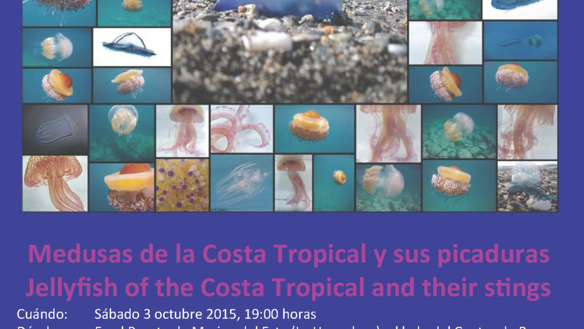 Charla sobre medusas en la Costa Tropical y sus picaduras