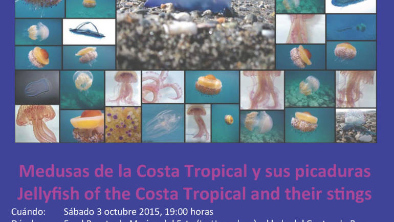 Charla sobre medusas en la Costa Tropical y sus picaduras