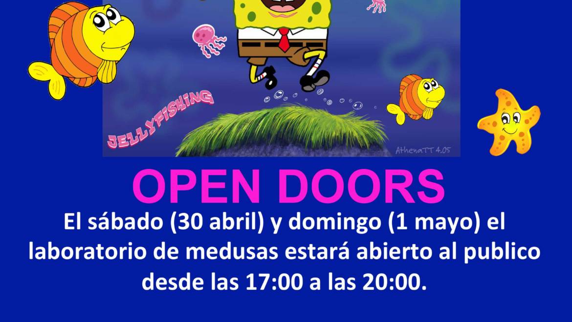 Puertas Abiertas / Open Doors