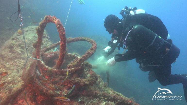 Marinas del Mediterráneo colabora con SOS CORALES, un proyecto de recuperación marina pionero en España