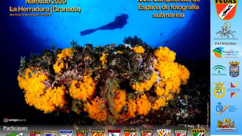 El XXXII Campeonato de España de Fotografía Subacuática se celebra del 14 al 18 de octubre