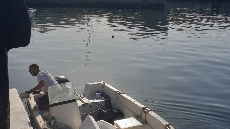 Die Marina von Estepona prangert dem APPA und Der Umwelt den ständigen Schmutz an, der durch das Fischereigebiet verursacht wird