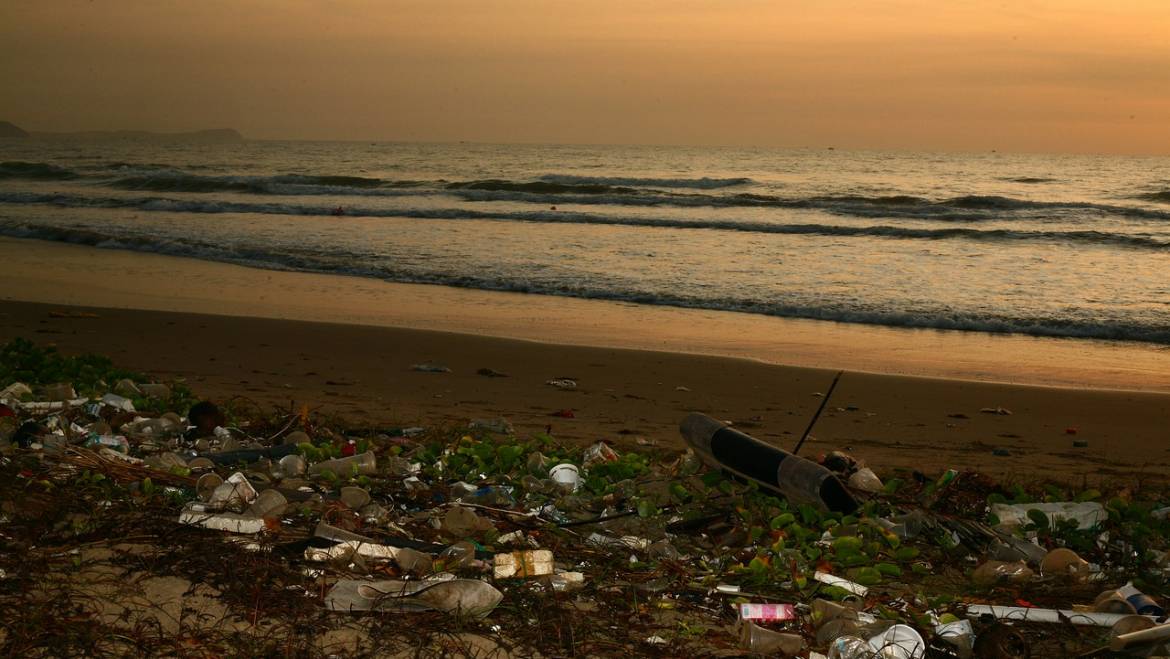 Voulez-vous rejoindre le Décalogue citoyen contre les déchets marins?