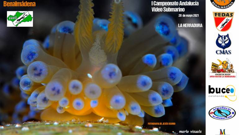 Marina del Este acoge los campeonatos de Andalucía de fotografía y vídeo submarino