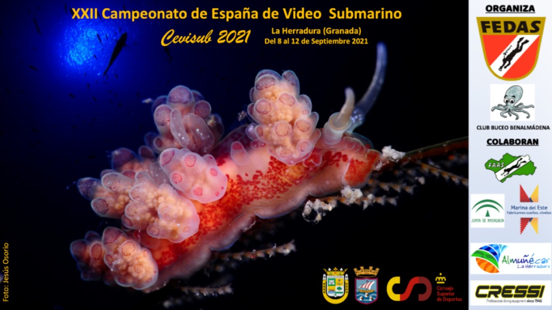 La Herradura acoge del 8 al 12 de septiembre el XXII Campeonato de España de Vídeo Submario